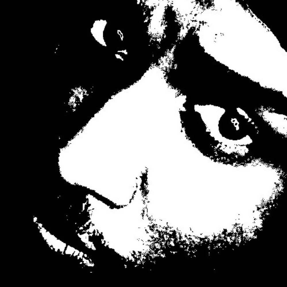 Meet your Posher, Posh